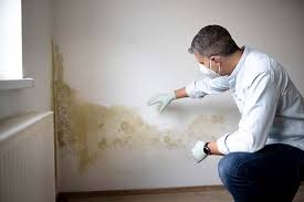 Professional Mold Remediation in Rolla, MO